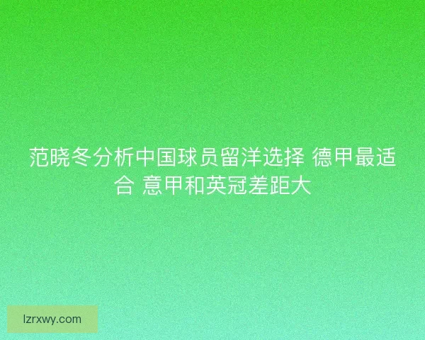 范晓冬分析中国球员留洋选择 德甲最适合 意甲和英冠差距大
